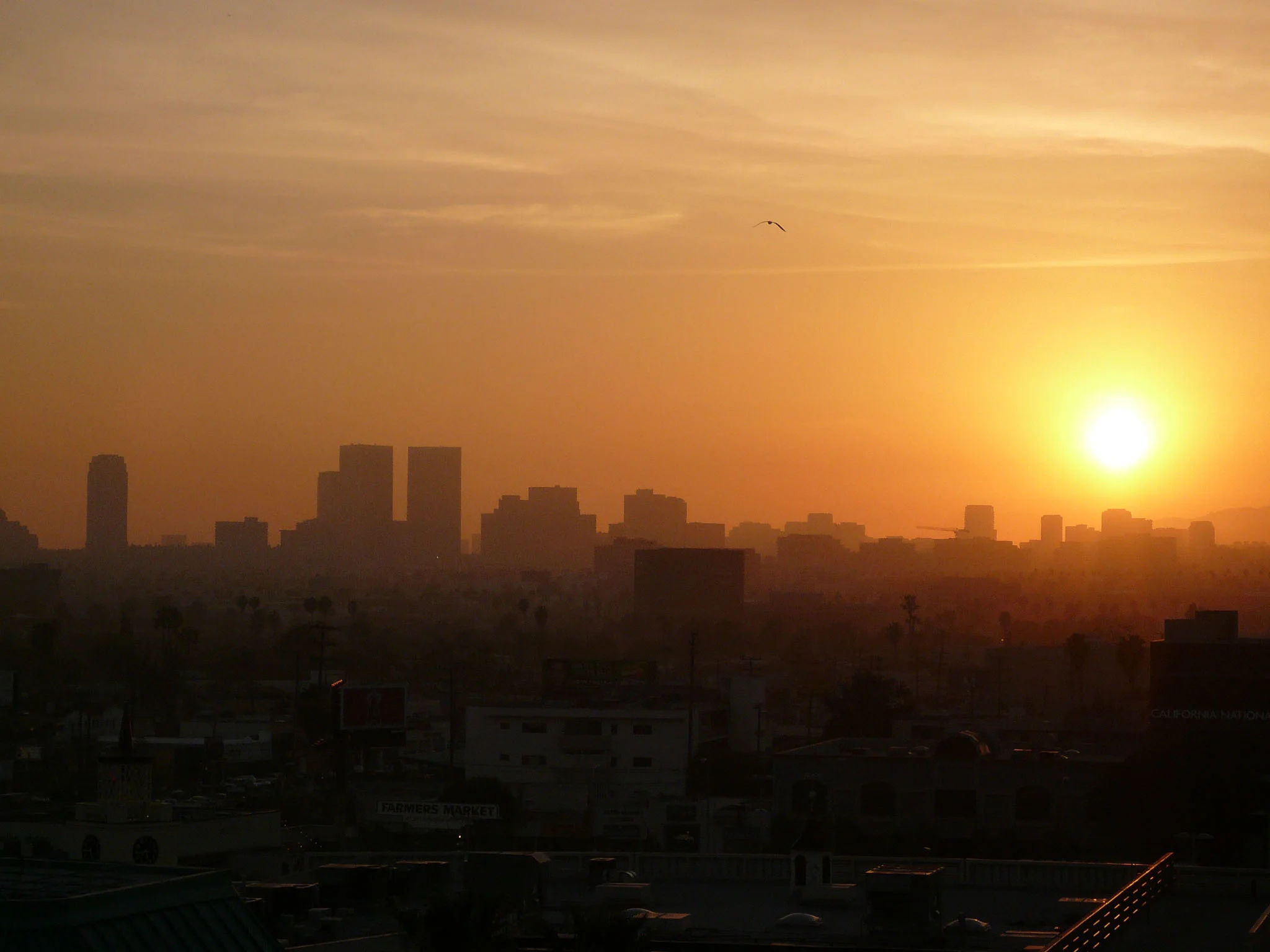 06a_P1010056.jpg