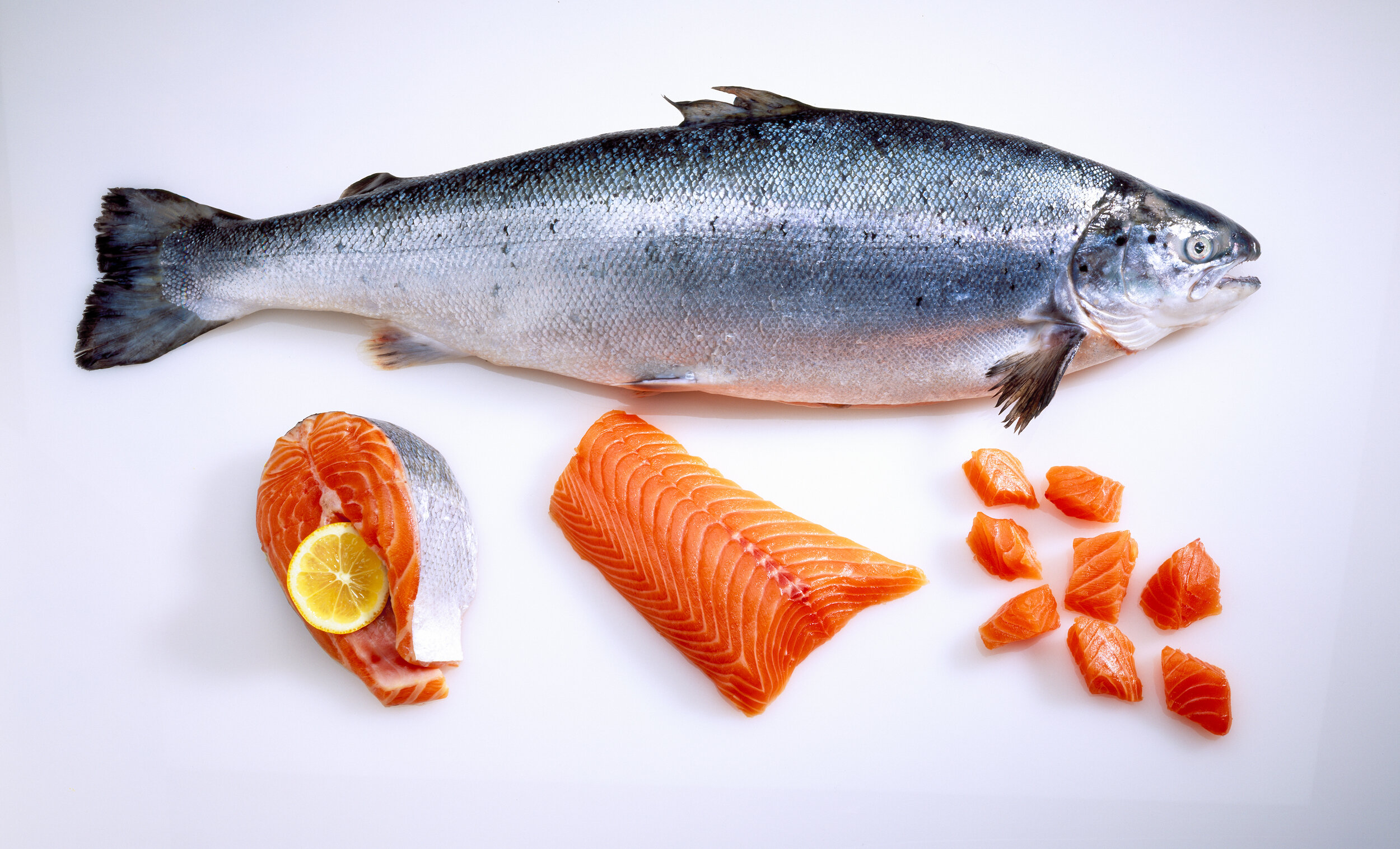 Valores nutricionales salmon