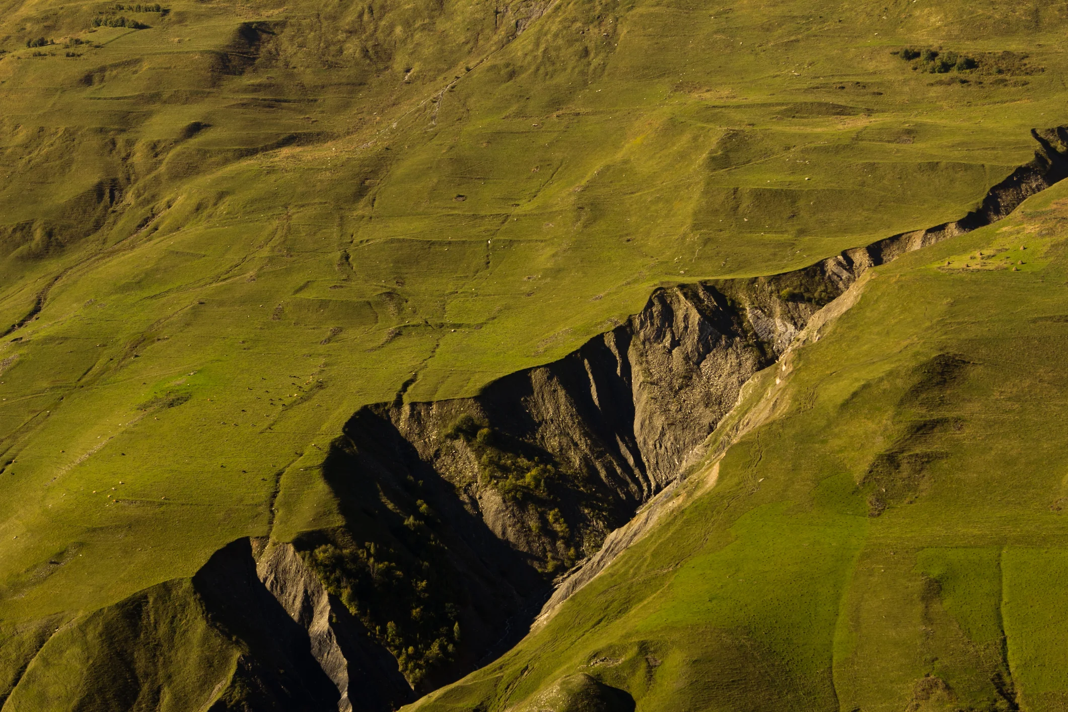 Photo by ellemarien/iStock / Getty Images