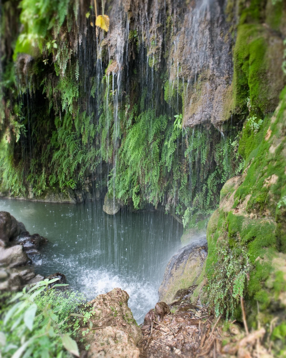 Waterfall over the swimming hole