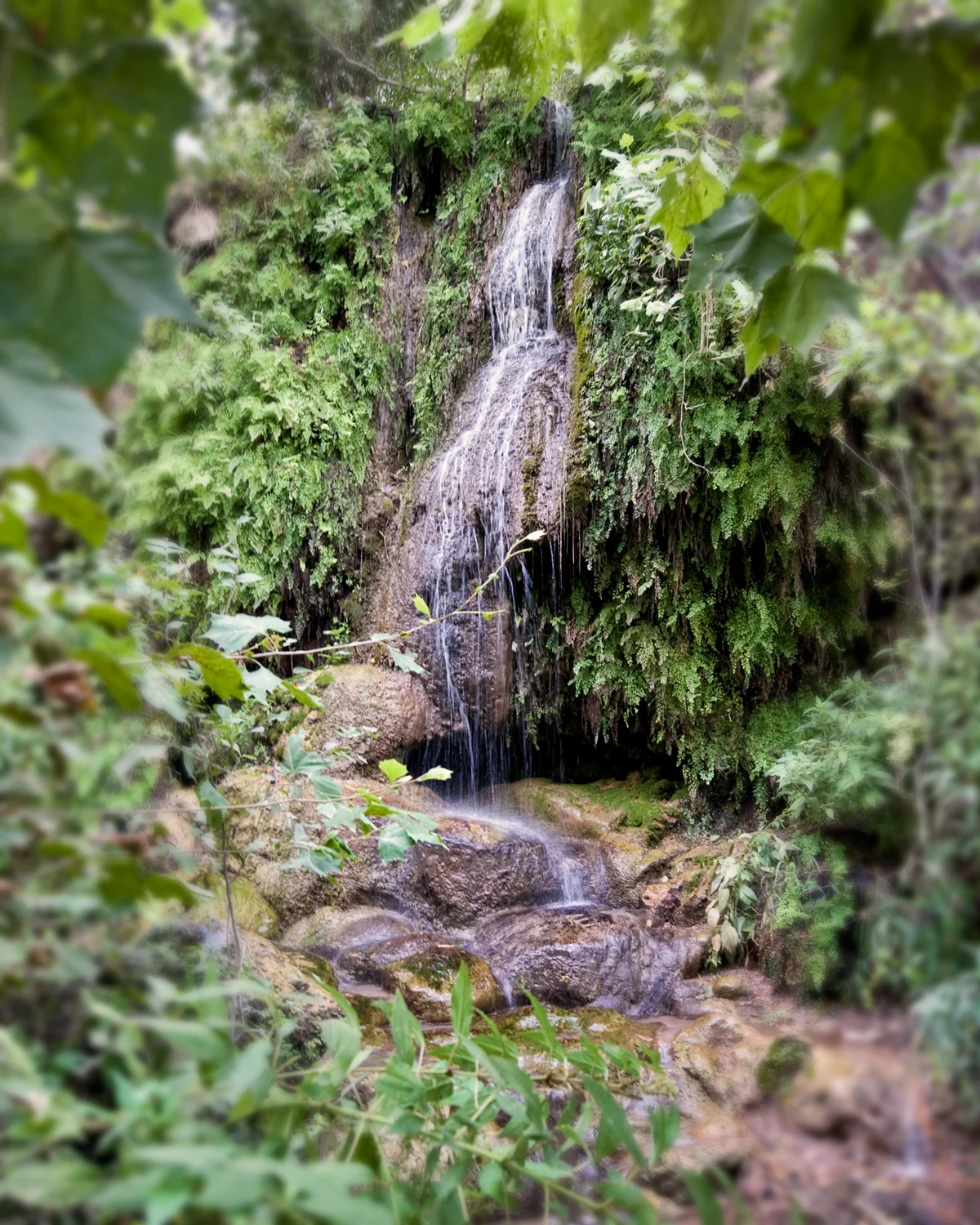 An Afternoon at Krause Springs