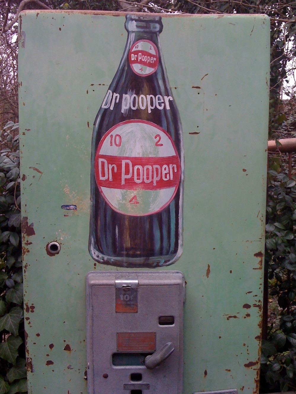 Dr. Pooper