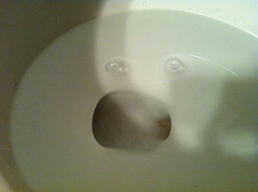 Toilet Monster Face!