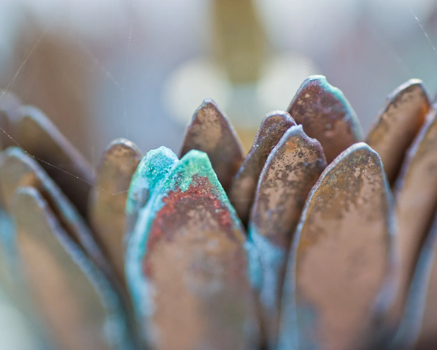 Verdigris on copper birdbath