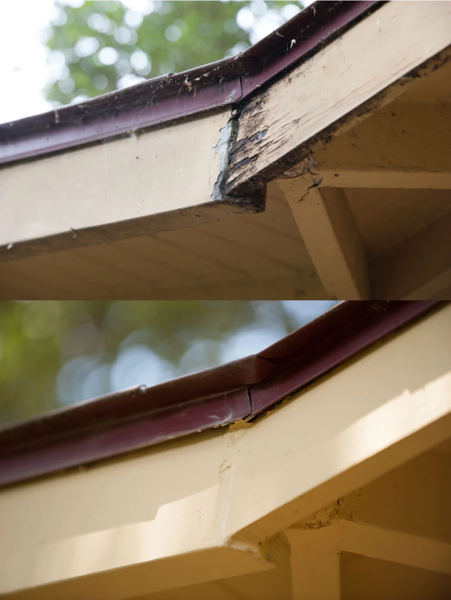 fascia-1.jpg