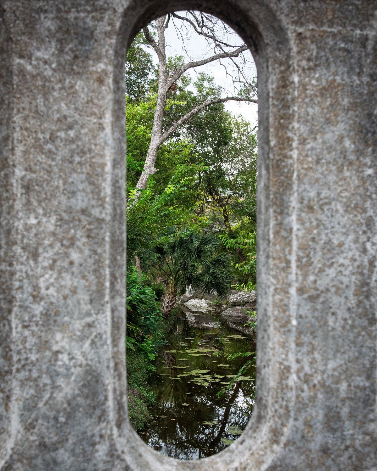 Waller Creek

#creek #urbanwaterways #urbanlandscape #wallercreek #nature #hemphillcreek #townlake #AustinPhotography #ATXPhotography #ATX #AustinTexas