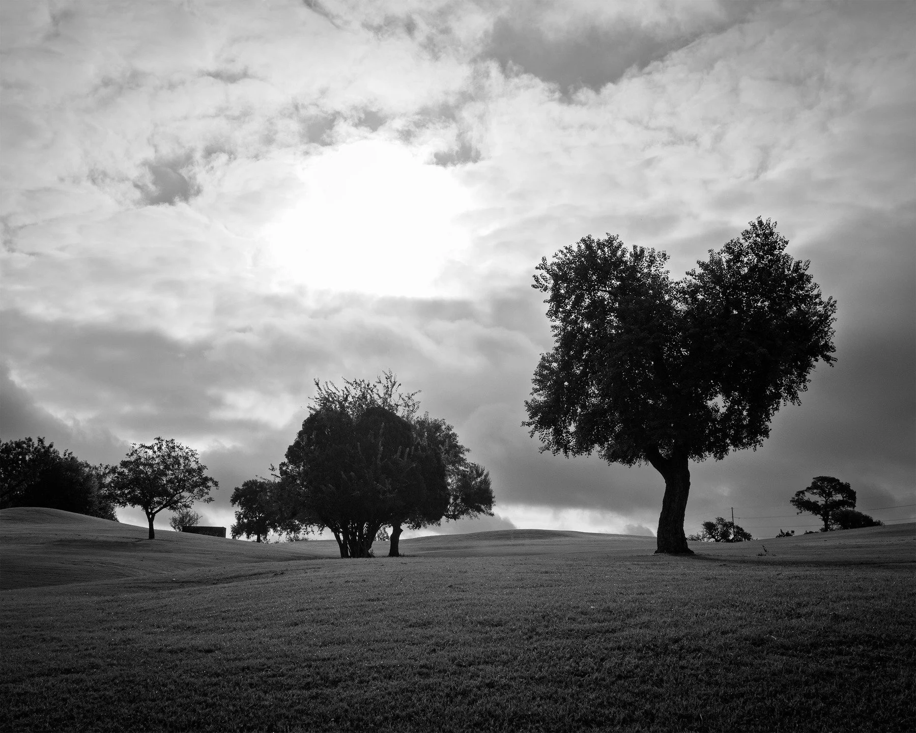 Hancock course

#urbanlandscape #blackandwhitephotography #AustinTexasPhotography #ATX #AustinTexas