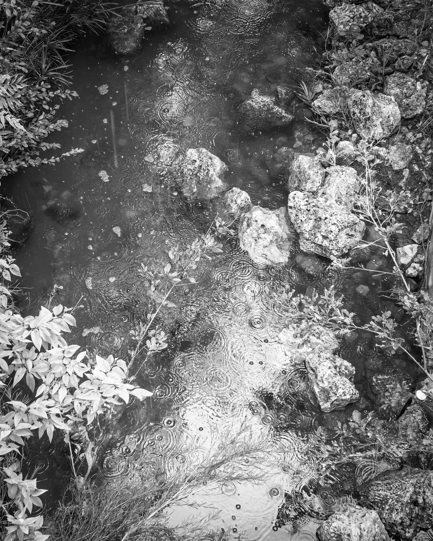 the day it rained in Austin

#urbanlandscape #blackandwhitephotography #AustinTexasPhotography #ATX #AustinTexas