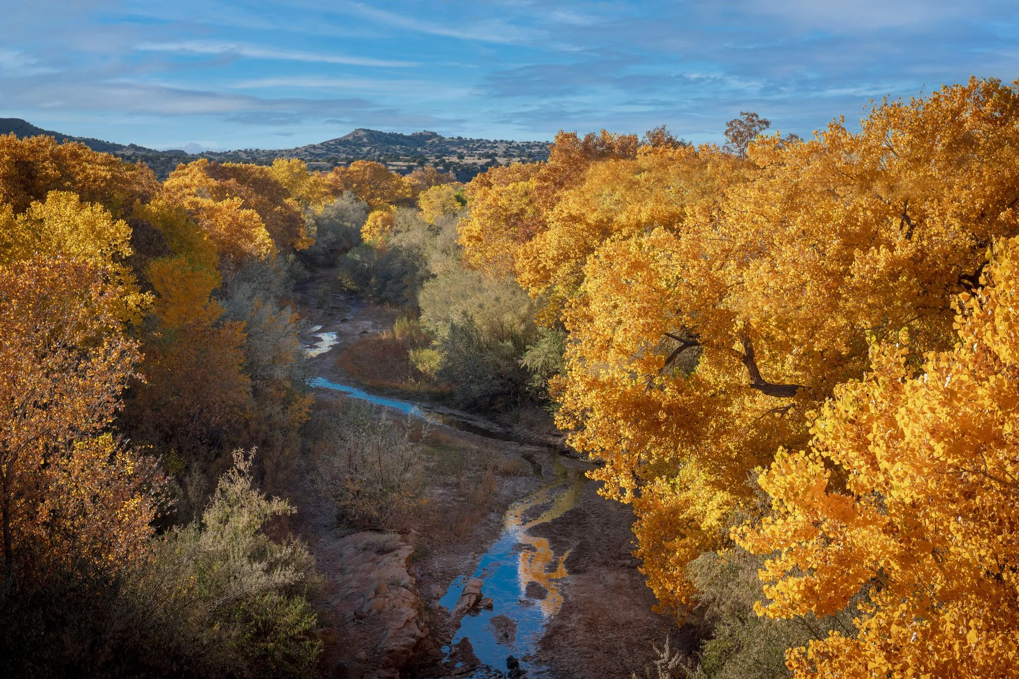 Fall colors are elusive in Austin, so here's New Mexico exactly two years ago.
#travel #travelphotography #roadporn #newmexico #abq