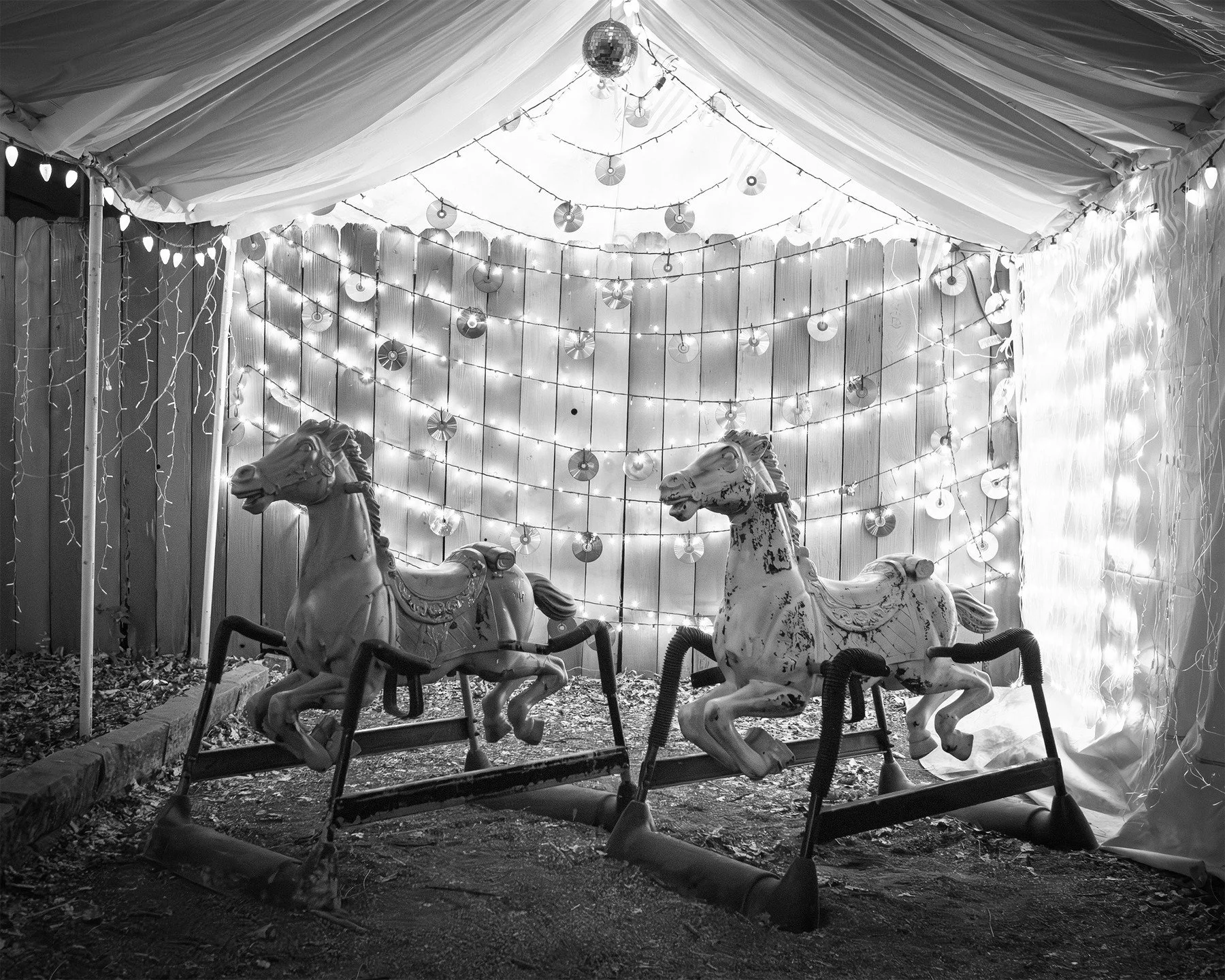 37th Street ATX Christmas Lights

#christmas #hanukah #holidays #urbanlandscape #blackandwhitephotography #AustinTexasPhotography #ATX #AustinTexas