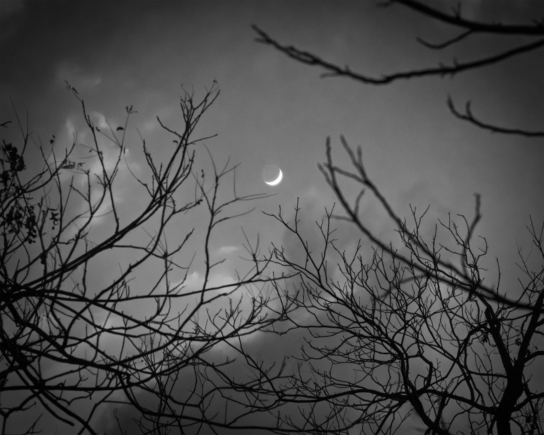 Twilight Tonight

#moon #blackandwhitephotography