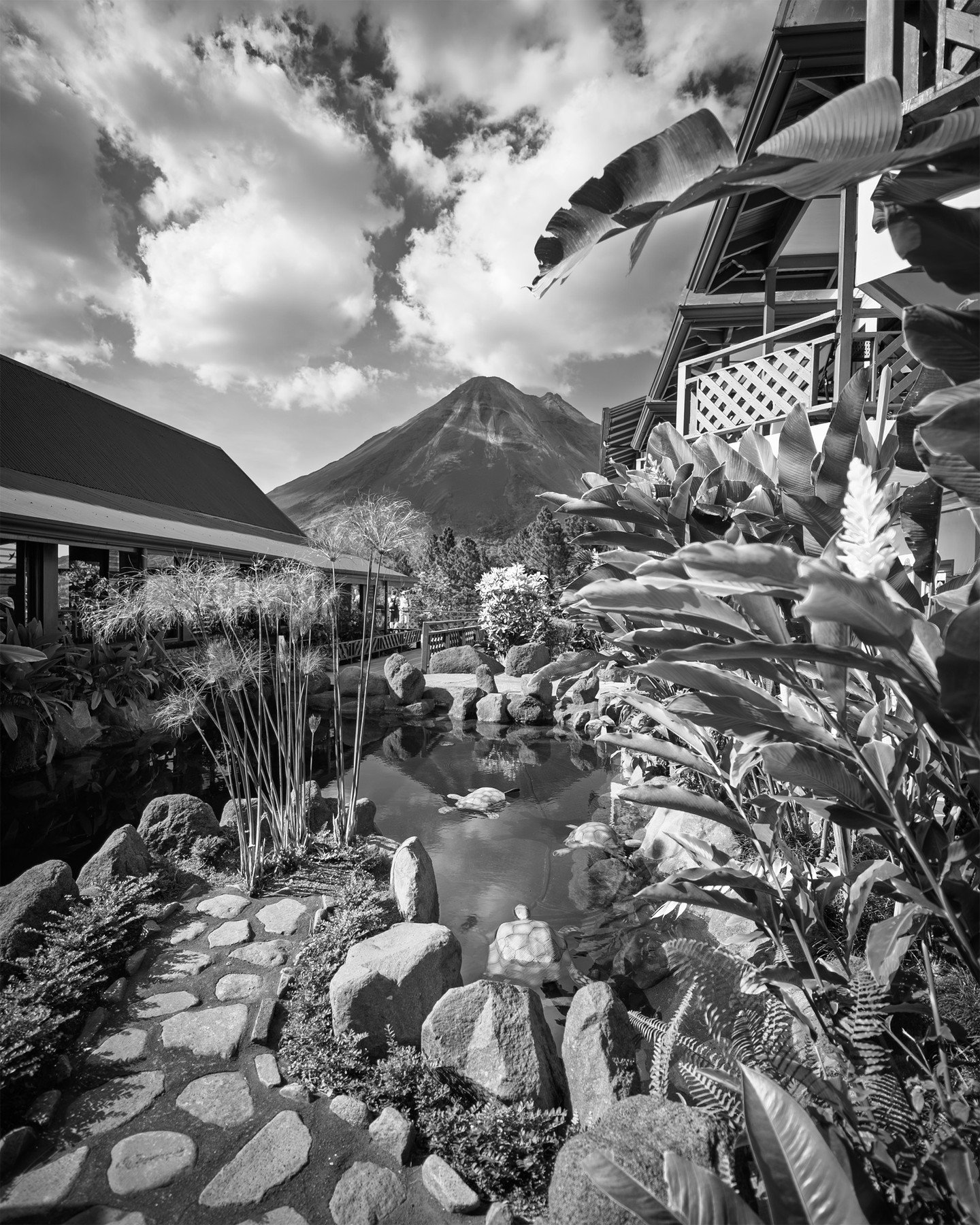 Arenal Volcano

#costarica #volcano #mountains #mountainviews #blackandwhitephotography
