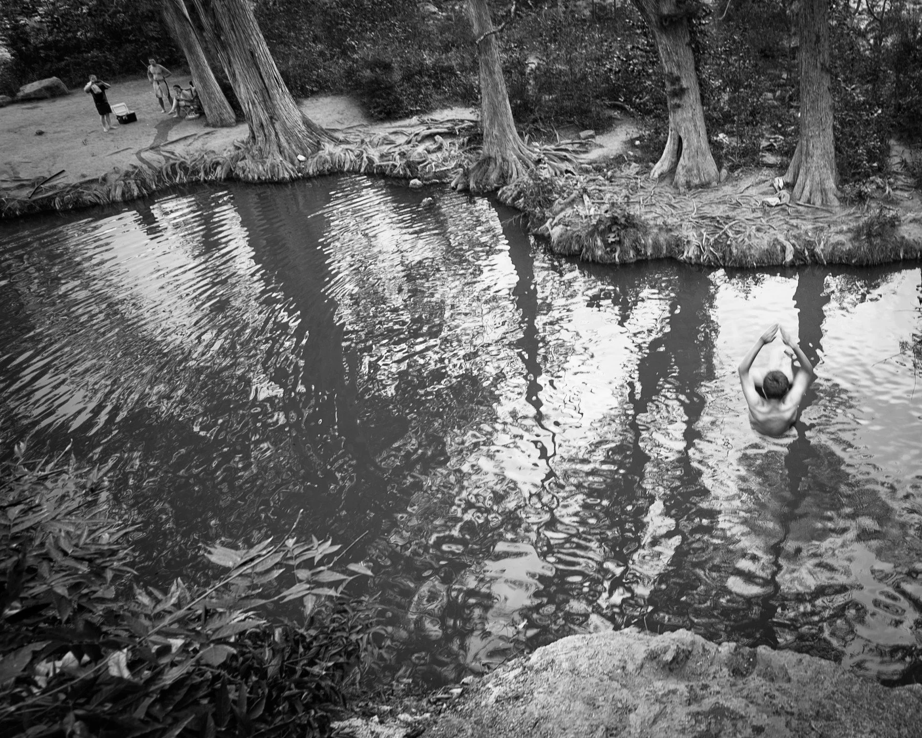 Diver

#dive #springs #swimming #krausesprings #texas #travel #nature #blackandwhitephotography