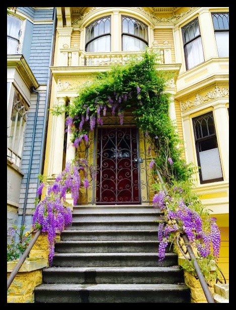 San Francisco's architecture in my neighborhood.