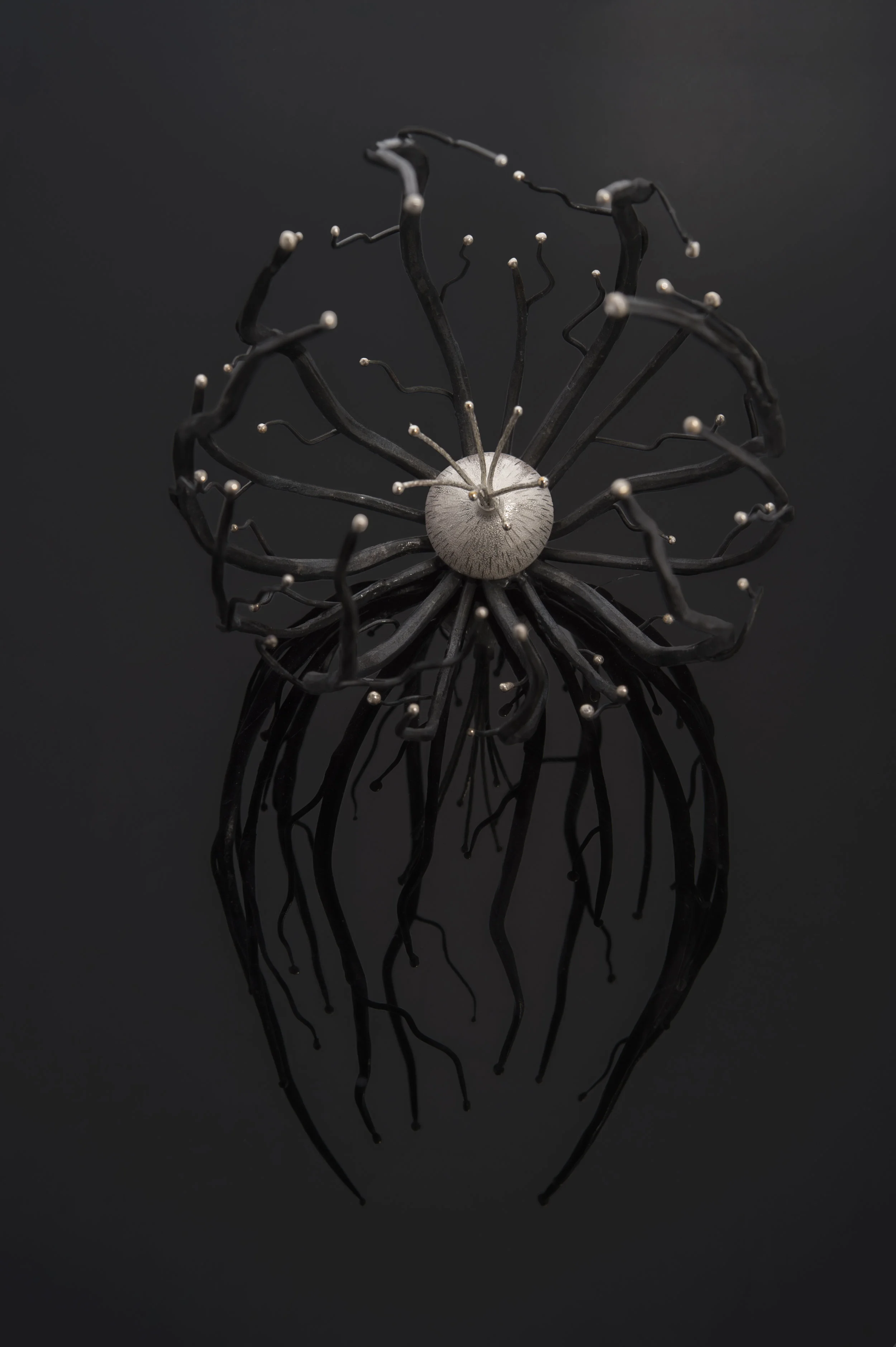 Node Specimen #1