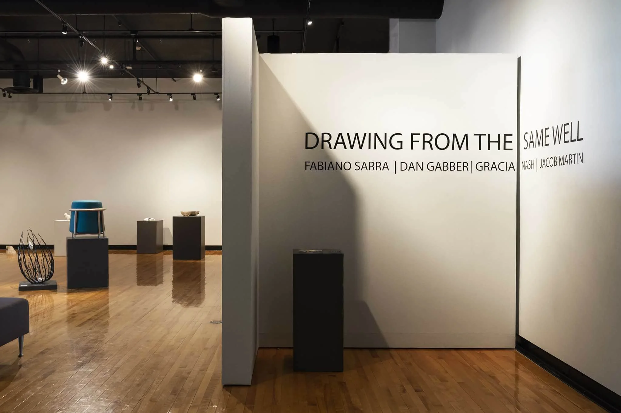  “Drawing From the Same Well” - Group Show with: Jake Martin, Fabiano Sarra, Dan Gabber, Gracia Nash 