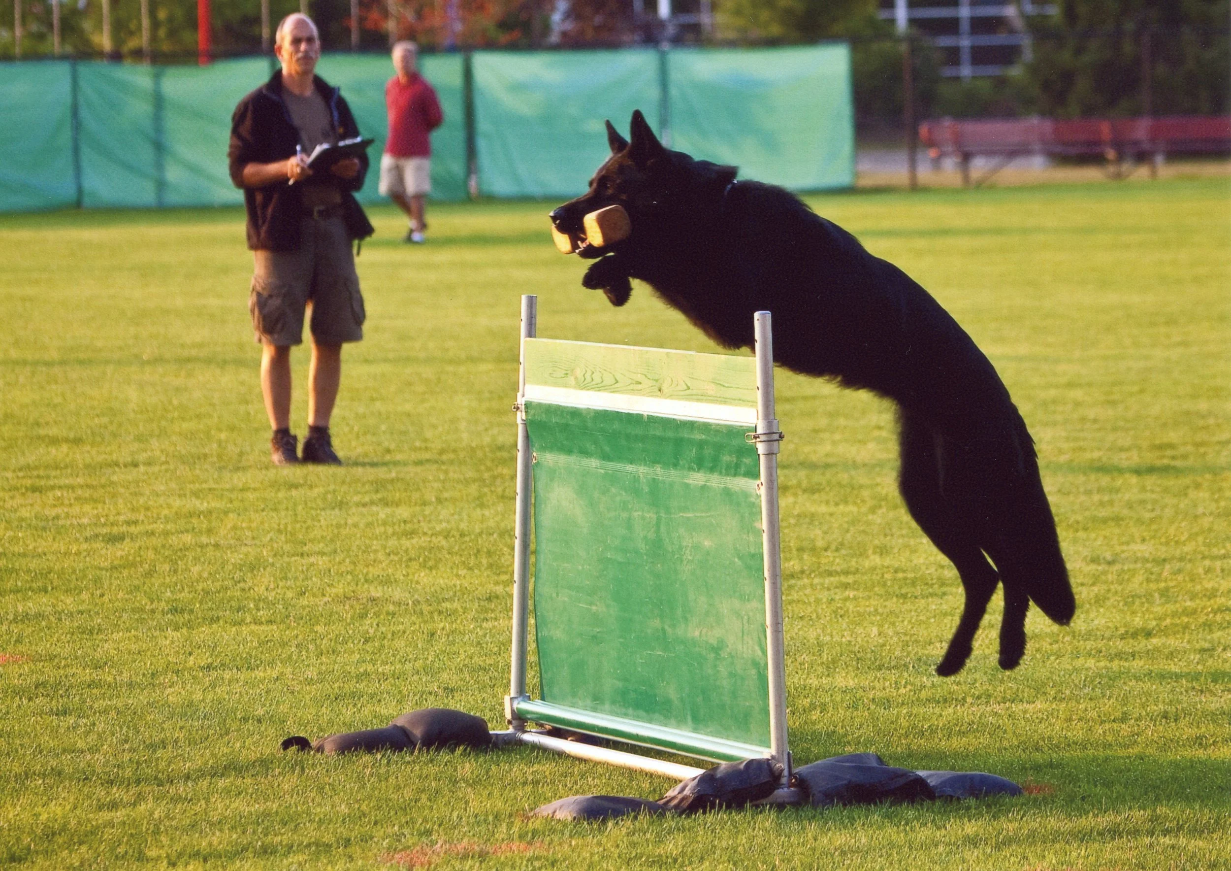 Arctic Metre Jump 2010.jpg