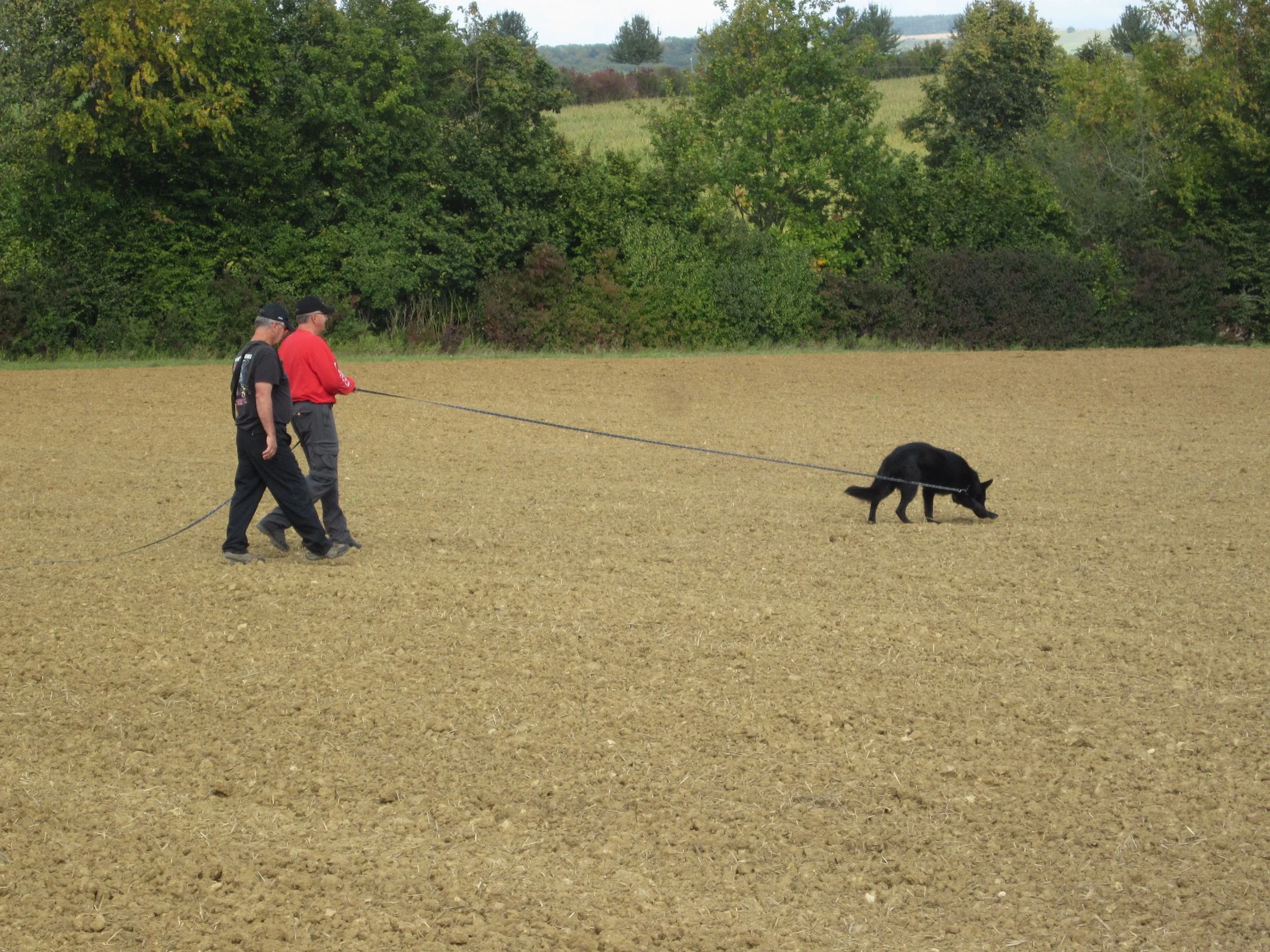 Trial Components — German Shepherd Dog Club of Edmonton