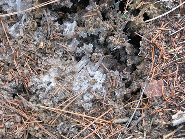 Frozen ground -