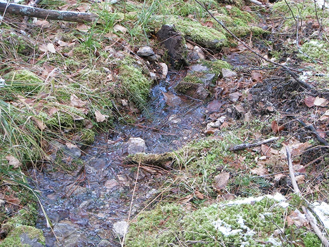 Running water in this draw - an unusual sight in November. A little snow is left on the moss.