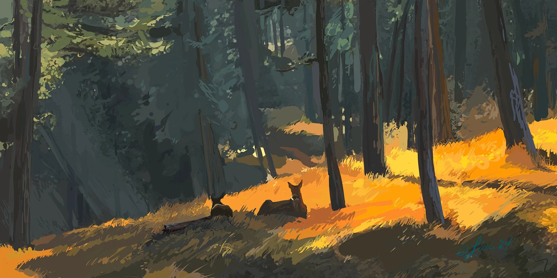 Late Fall Sun and Shade