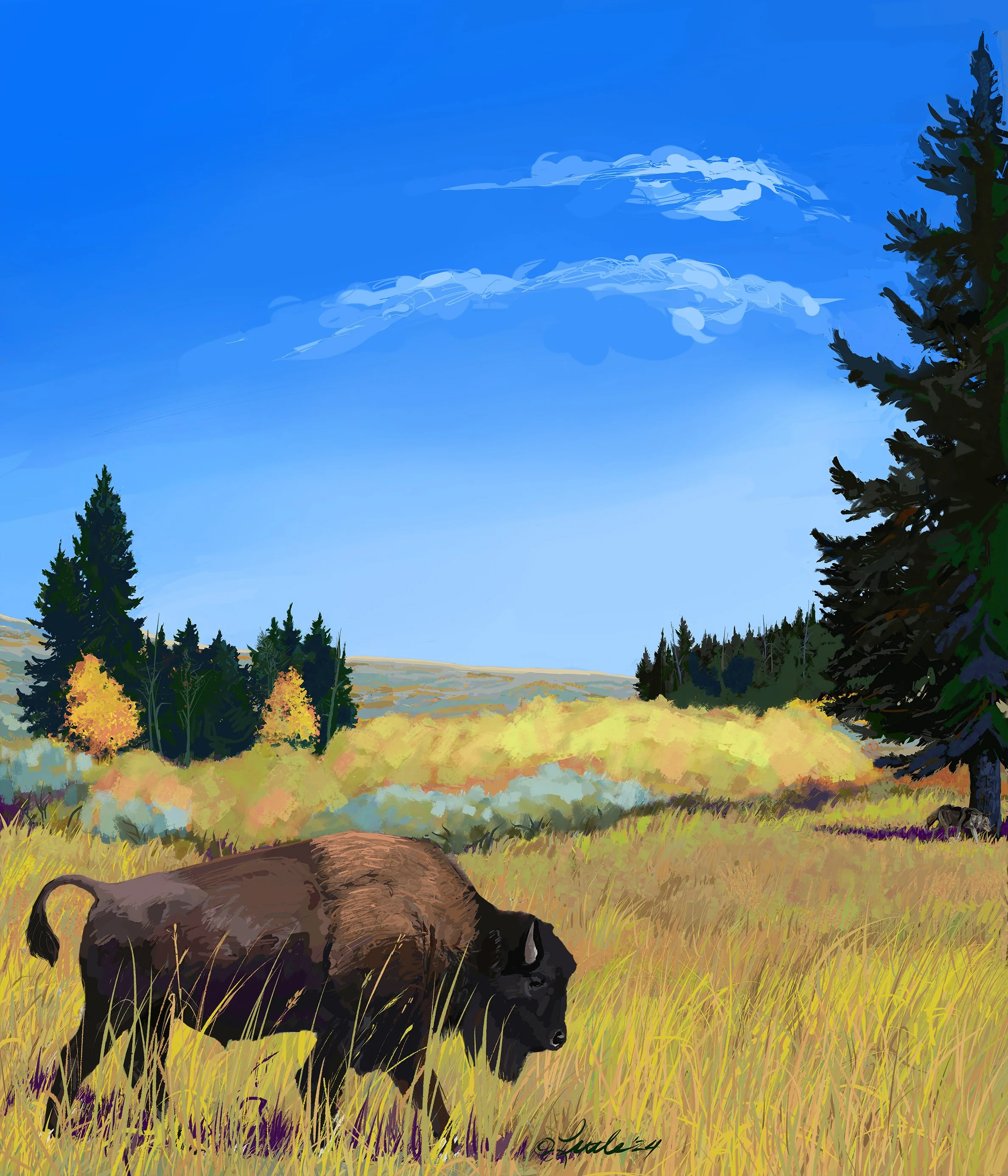  In early Fall, a lone buffalo, (Bison bison) along with a wolf (Canis lupus) cross the Blacktail plateau in Yellowstone National Park.  Digital painting in Procreate on iPad Pro,  28" x 24" 