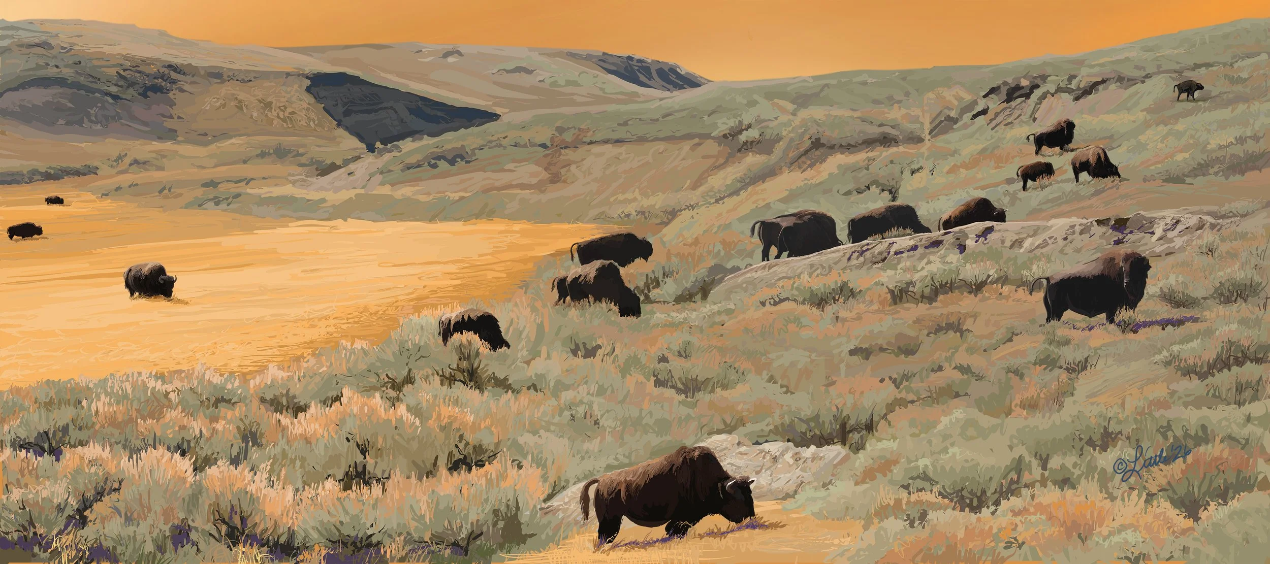 Description  In the Hayden valley of Yellowstone National Park, a herd of buffalo (Bison bison) graze in their Fall landscape. Procreate on iPad Pro, 16" x 36”  Limited edition fine art prints are available here:   https://fineartamerica.com/feature