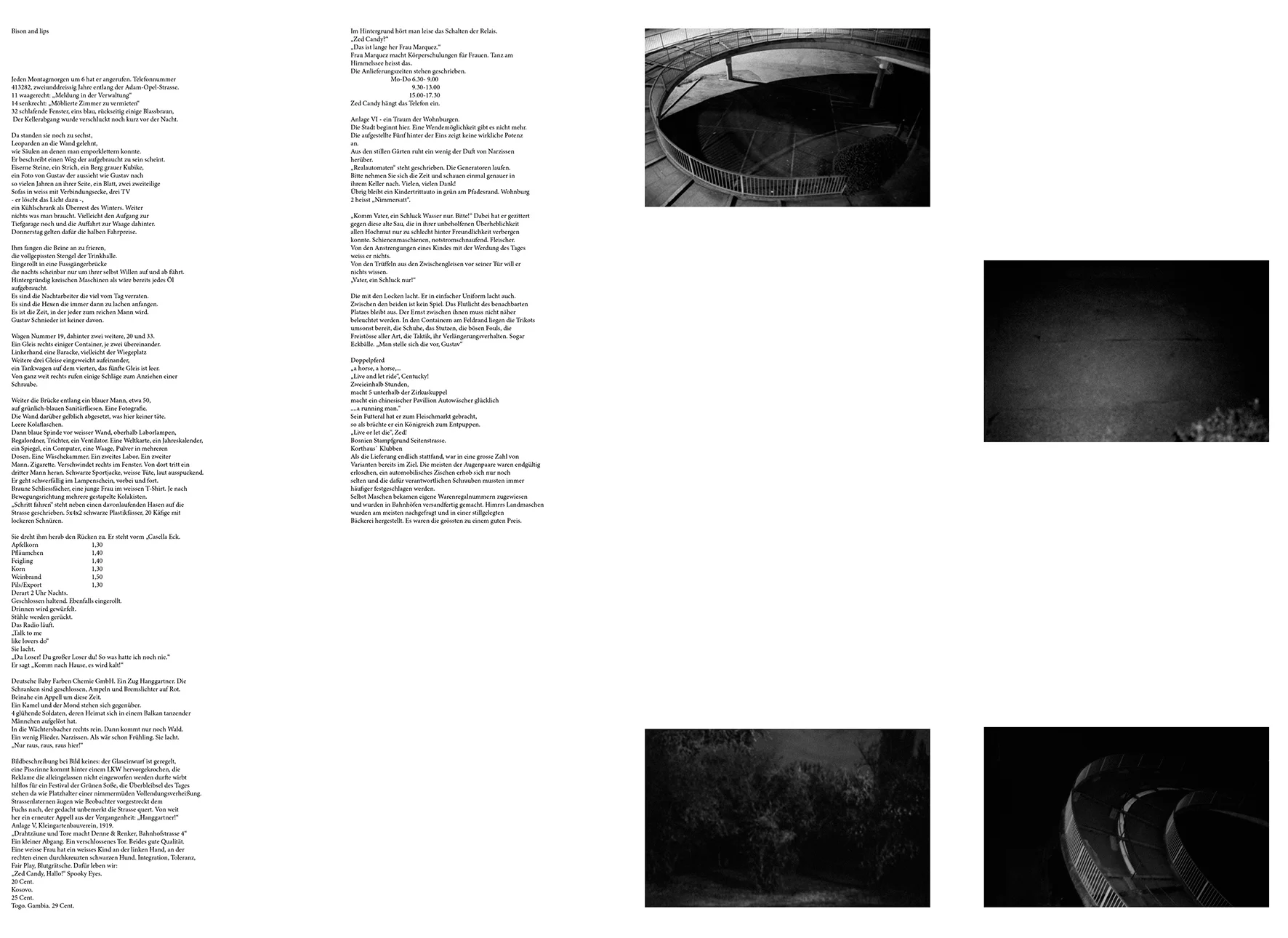 _Portfolio-2015-eric-pries-14.jpg