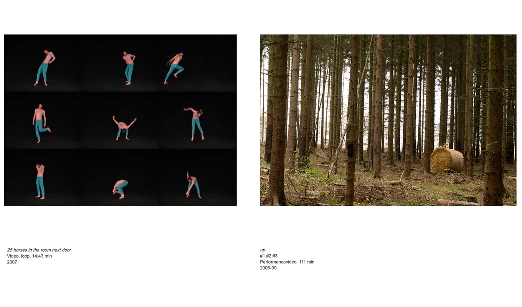 _Portfolio-2015-eric-pries-18+.jpg