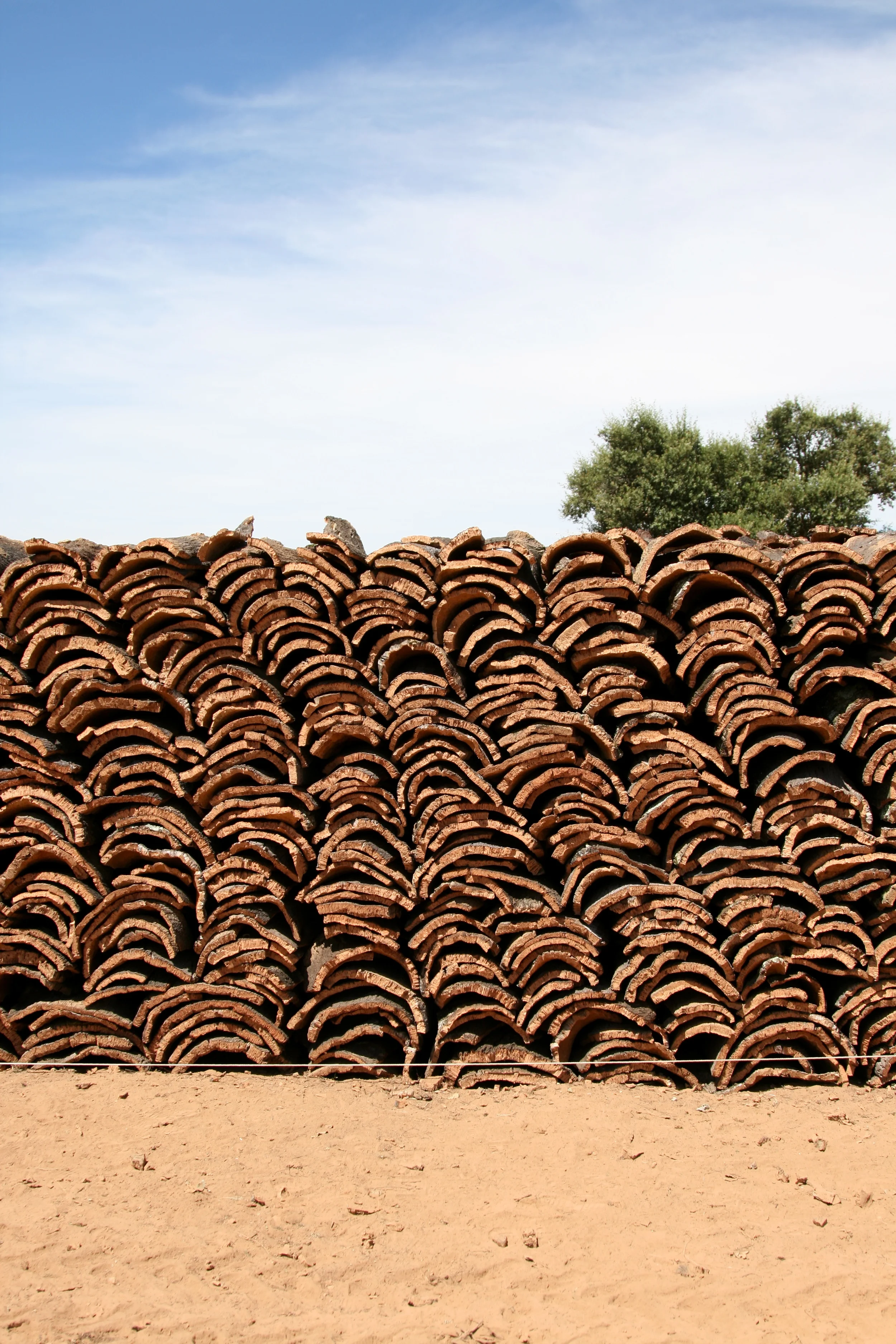 The images in this gallery are from a 2011 trip to Portugal, home to 53% of the world's cork supply. Sponsored by APCOR (the Portuguese Cork Council) and Amorim
(the world leader in cork products), I was able to travel across
Portugal to document the entire agricultural and industrial facets of
the cork sector. These images were published as part of a series of
galleries and articles on the design journal Core77. You can read them here .