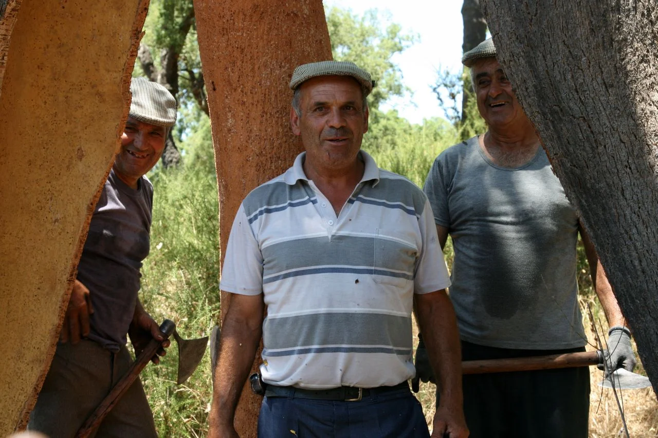   Cortiçadores , Alentejo, Portugal, 2011 