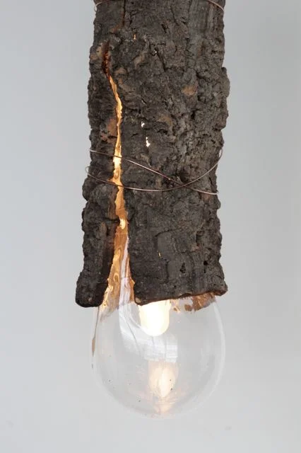 Bark Lamp