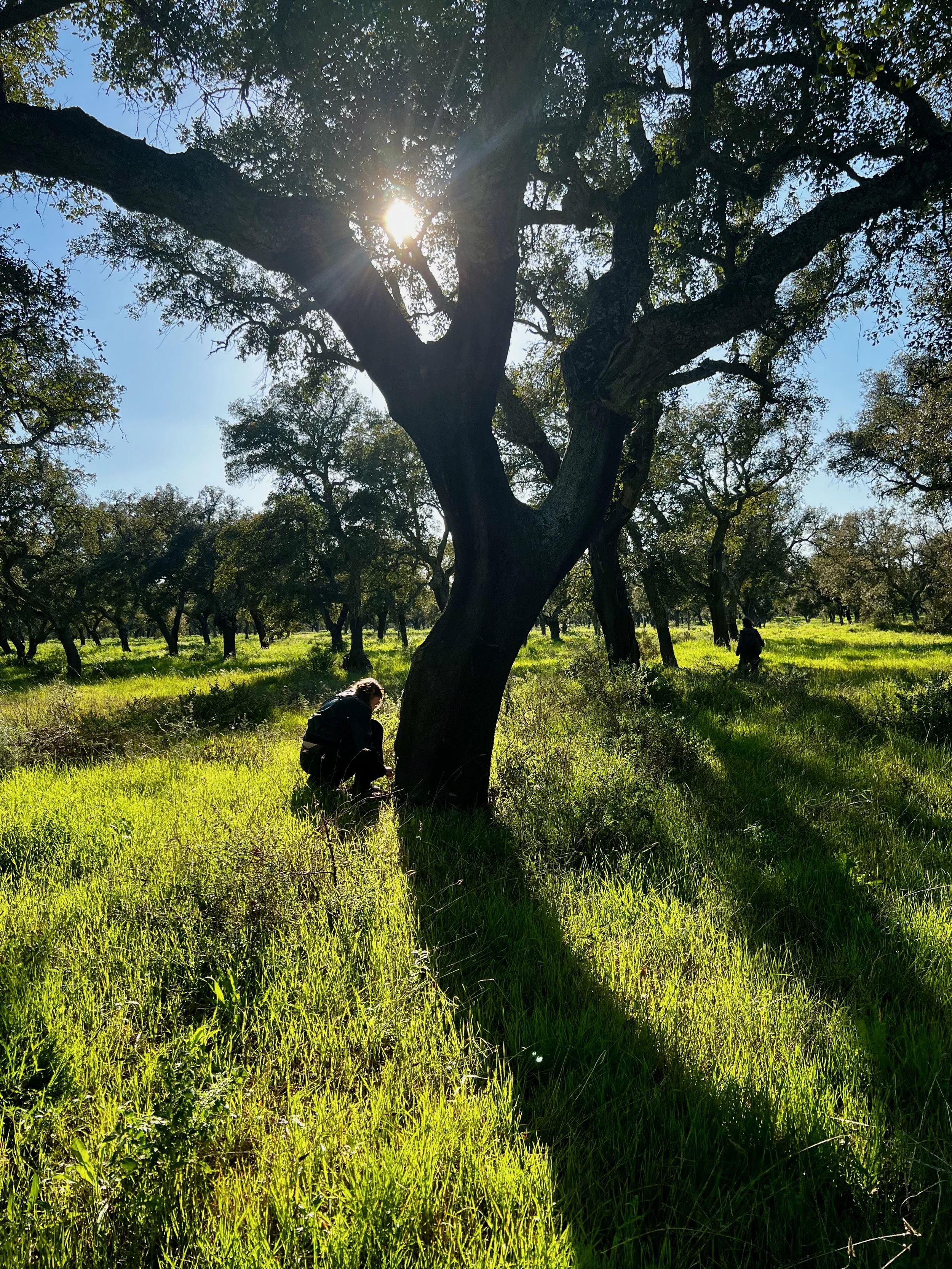 Kasia in forest.jpeg