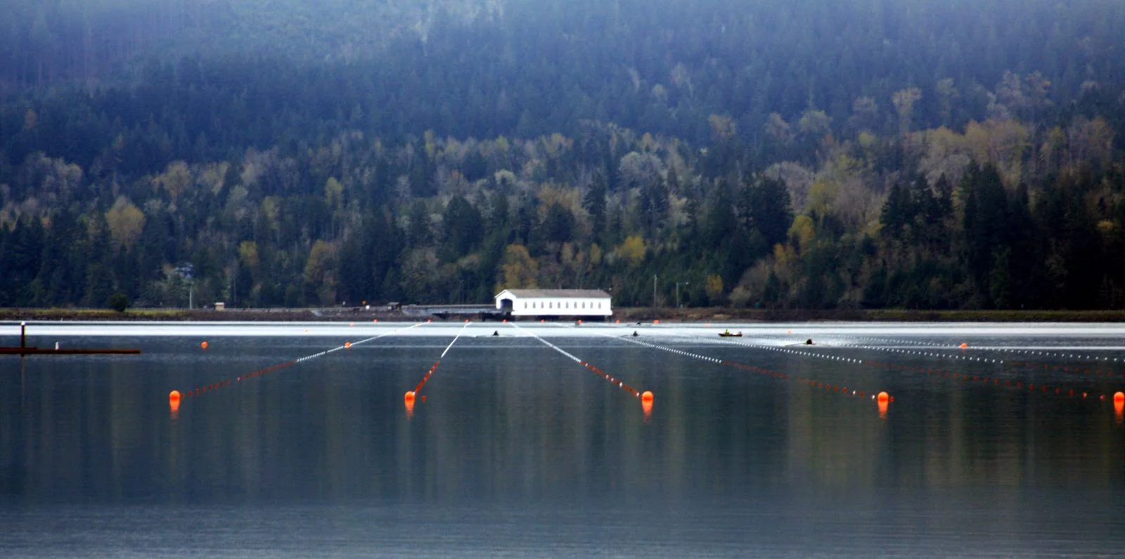covered bridge.jpg
