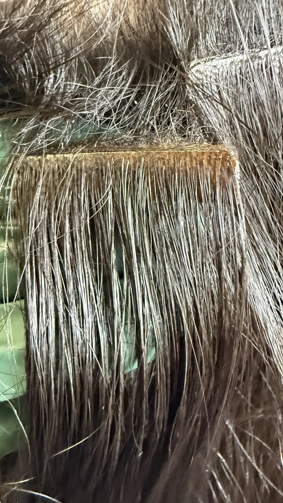 Close-up of a tape-in hair extension blending with natural gray and brown hair in Boise