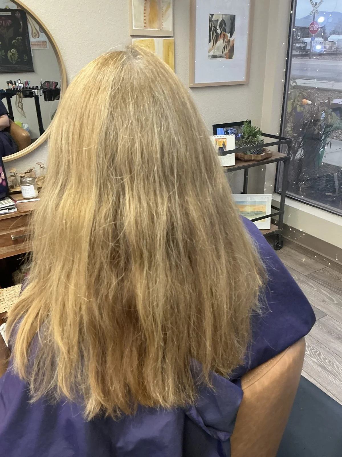 Before hair extensions, dry, uneven shoulder-length blonde hair at a Boise salon