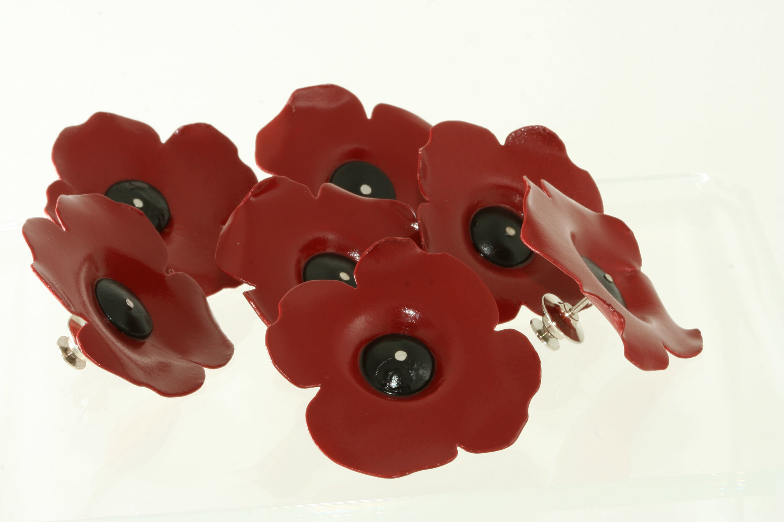 group of poppies.jpg