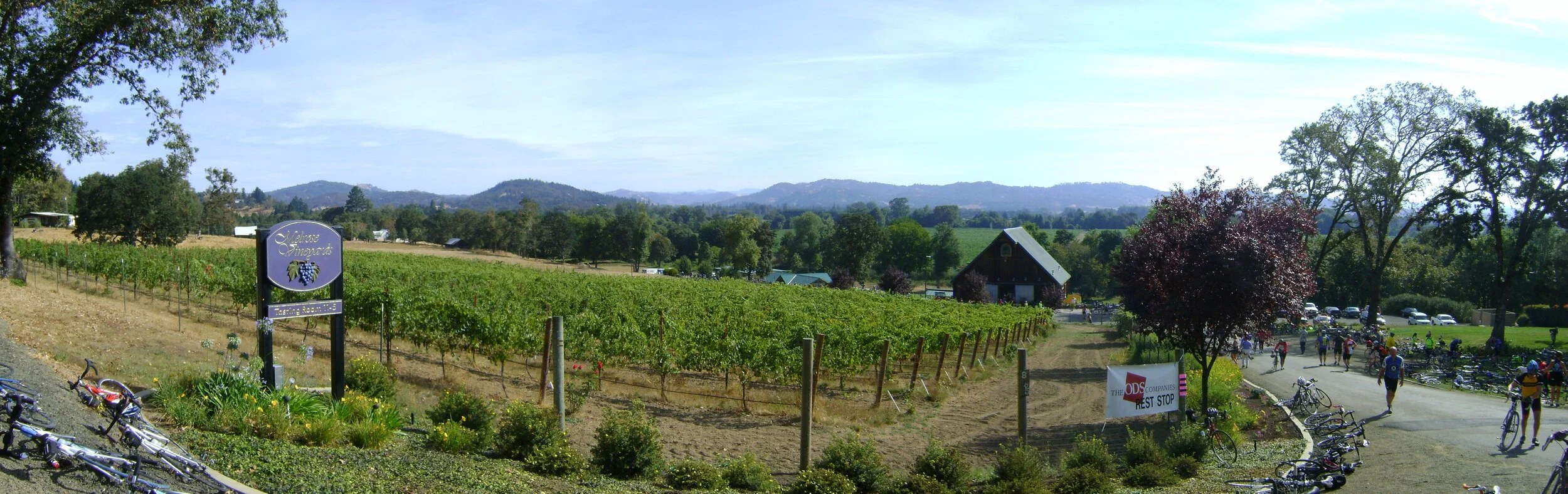  Lunch stop at Melrose Vineyards, just west of Roseburg, OR. 