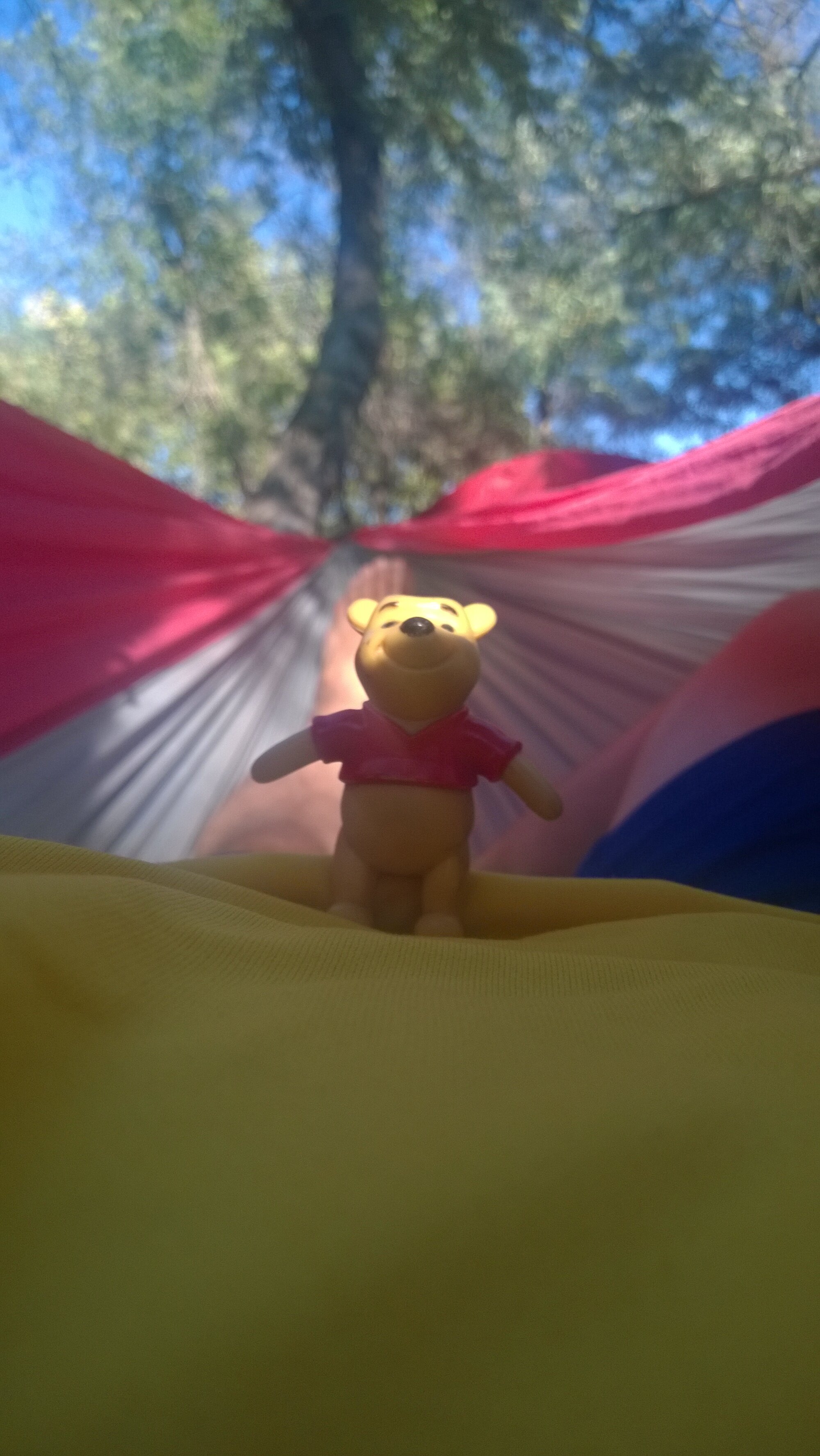 Relaxing in the shade in my hammock on a VERY hot day.