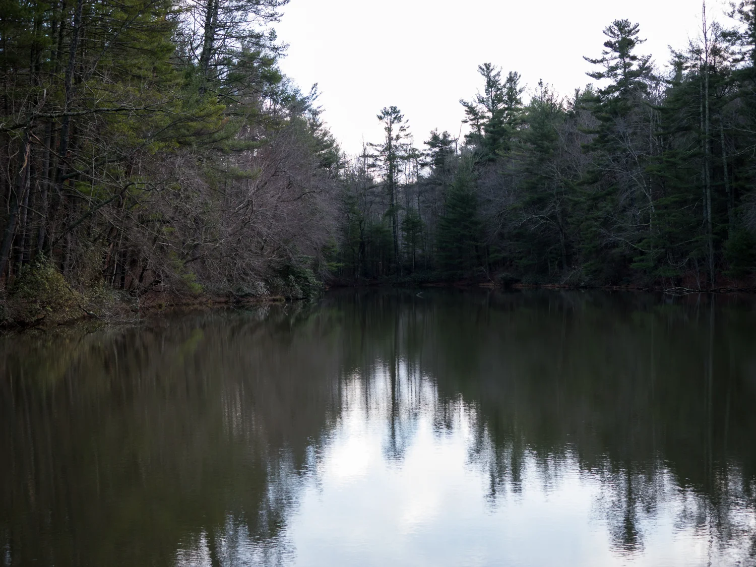 CSandburg-1140228.jpg
