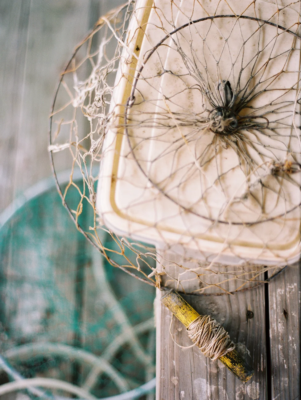 Nets & Reel.jpg