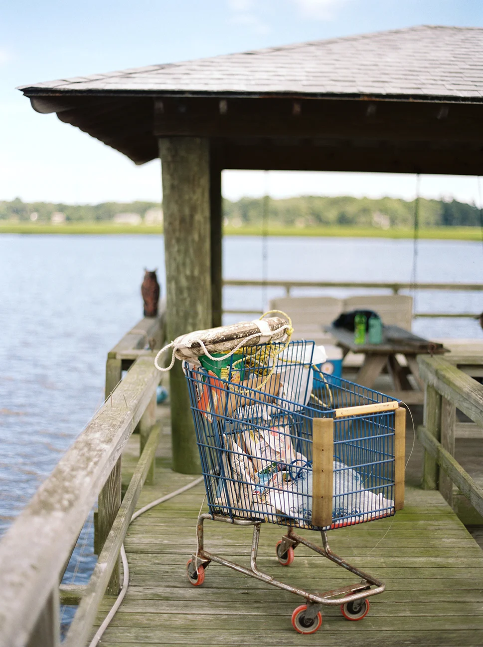 Shopping Cart.jpg