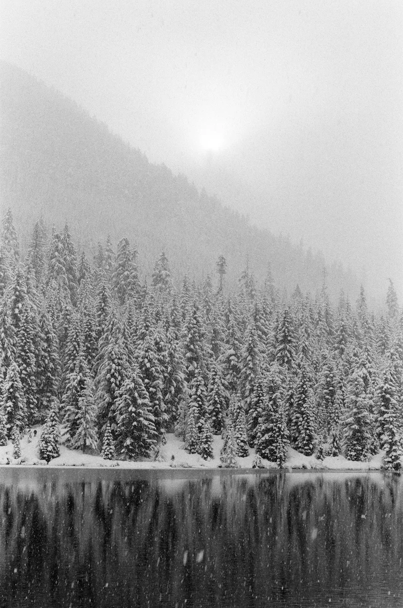 Vertical Snow Covered Trees and Mountain Reflection with Sun_web.jpg