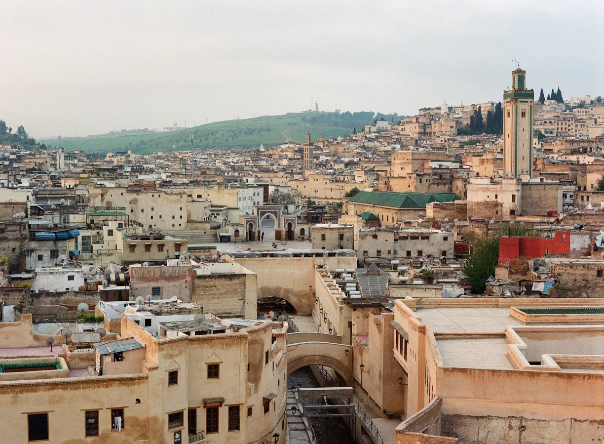 Fez Medina from Roof Deck_Dawn_Mosque and Gate_web.jpg