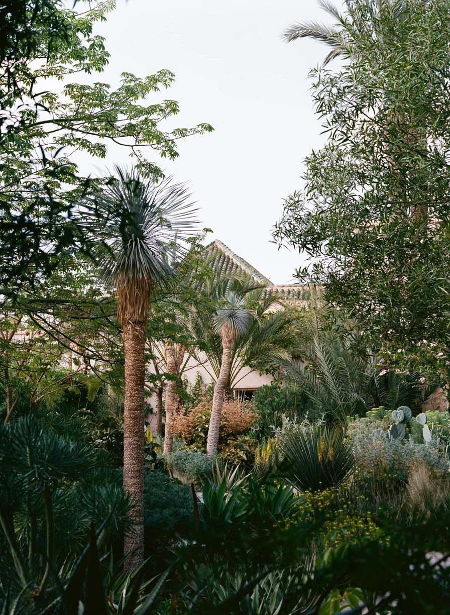 Palm Trees and Bushes with Building Top at Le Jardin Secret_web.jpg
