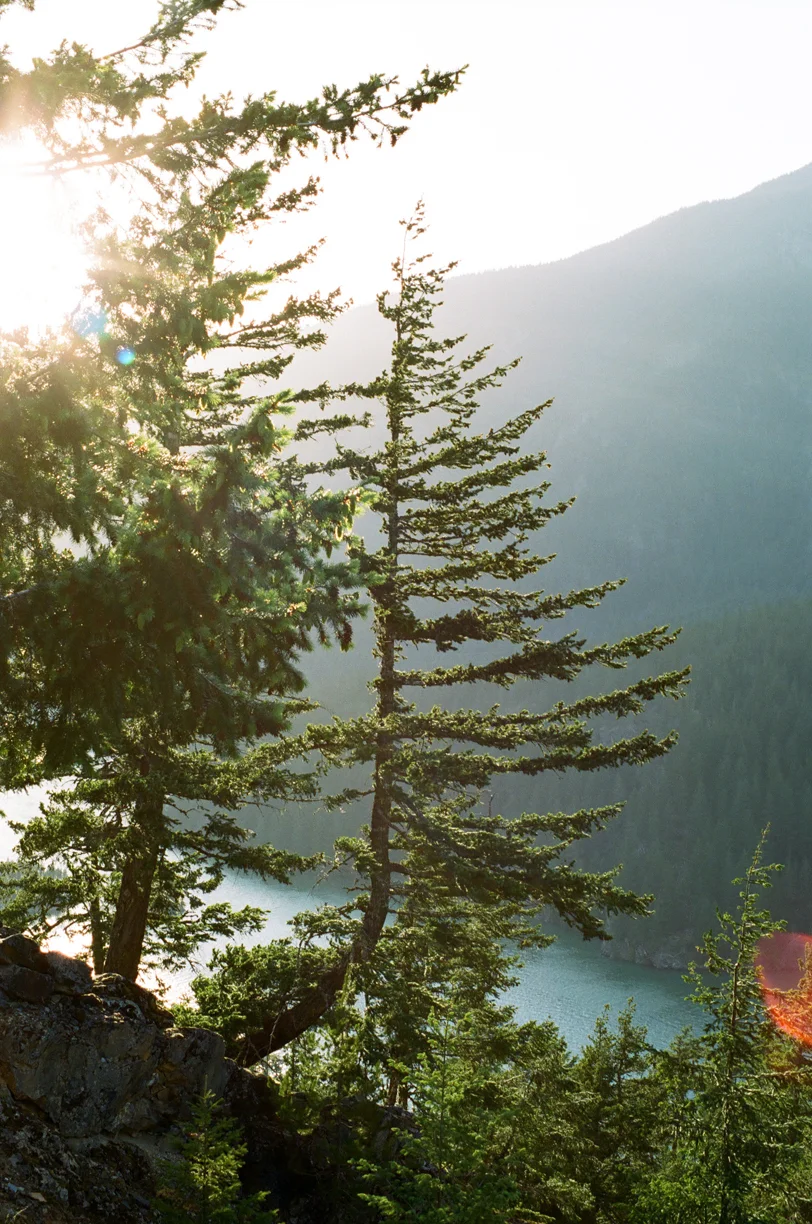 Skinny Pine Tree at Diabol Lake Overlook with Sun Flare and Lake_web.jpg