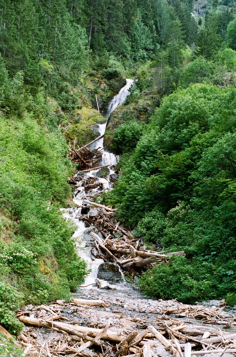 Waterfall off side of road_Logs at base_Cascades_web.jpg