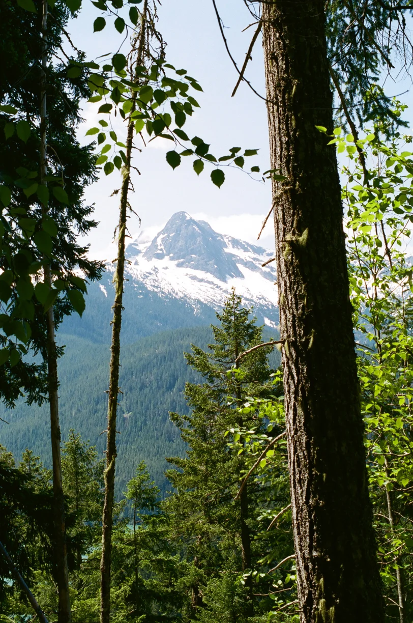 Cascade Peak through the trees on trail_hike_vertical_web.jpg