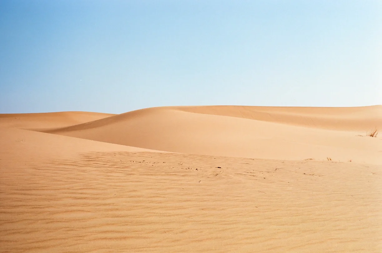 Sand Dune Sahara 004_web.jpg