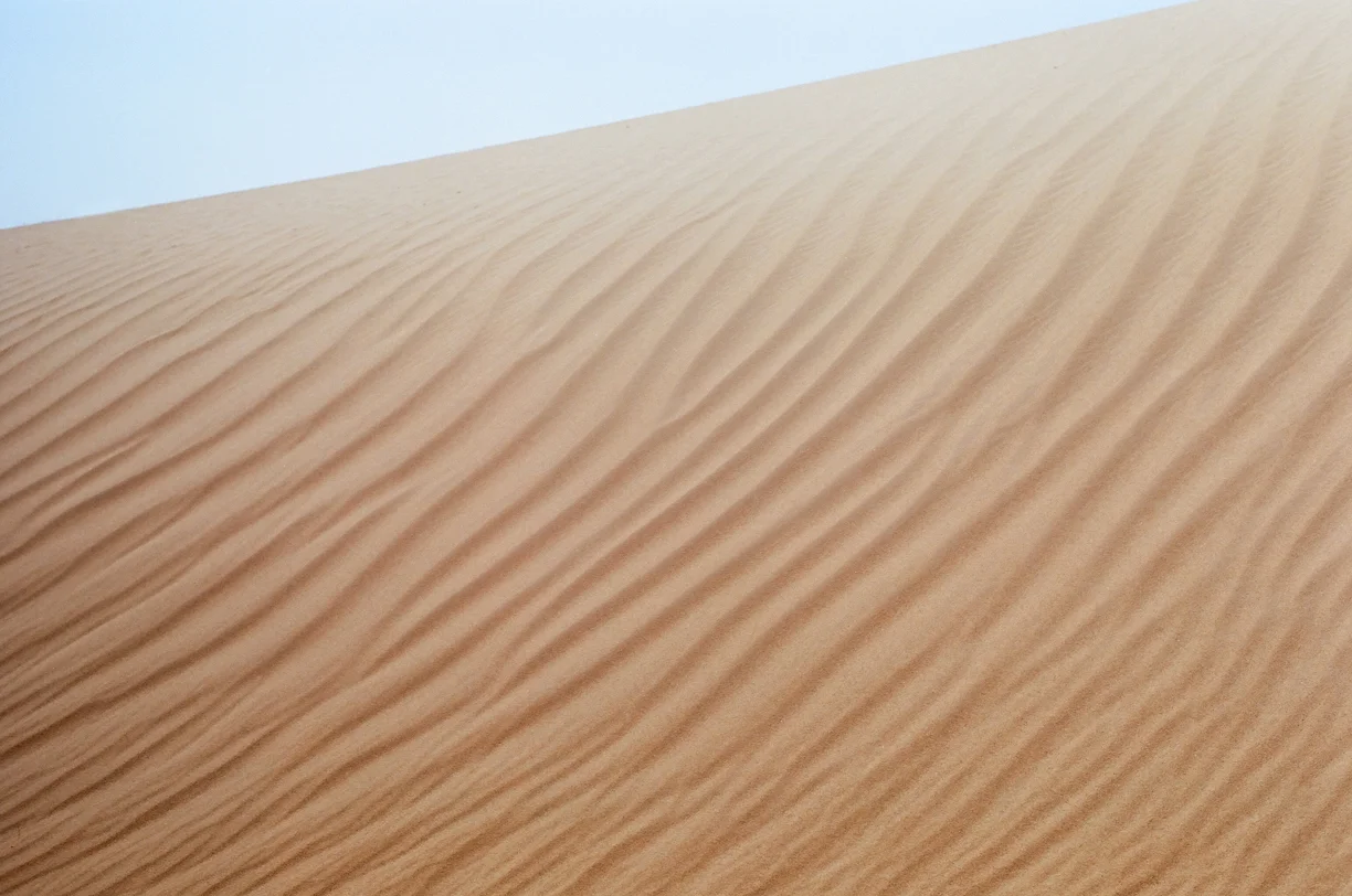 Sand Waves and Lines in Dune_Sahara_web.jpg